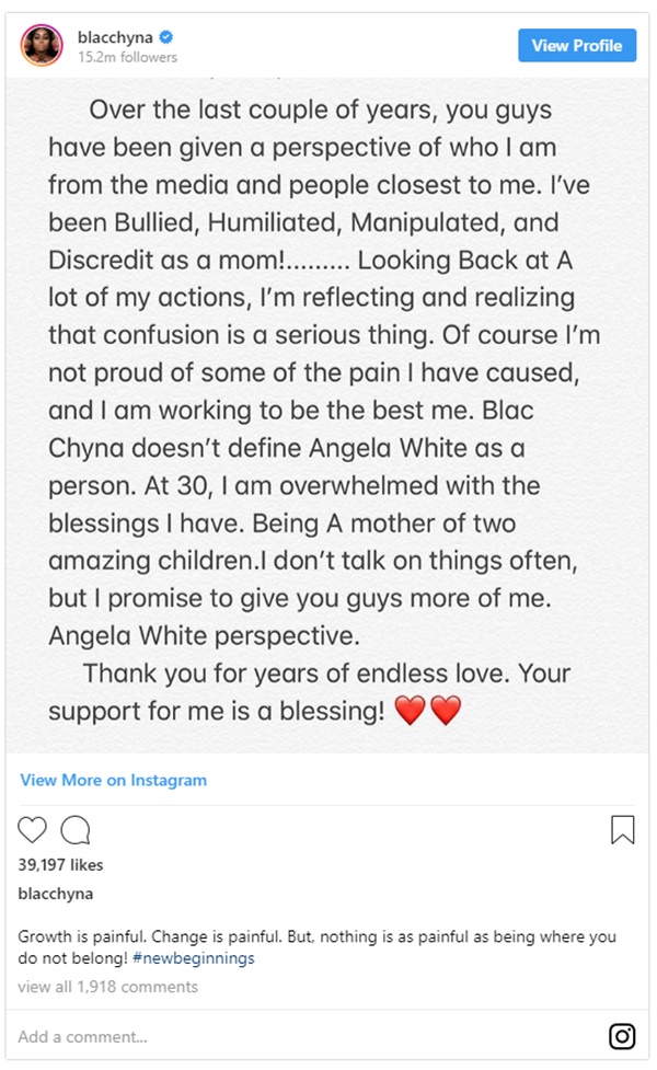 Blac Chyna Blames The Media