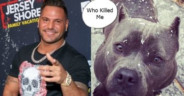 OMG! WTH? Did Ronnie Magro Kill Jen Harley's Dog?